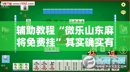 辅助教程“微乐山东麻将免费挂”其实确实有挂