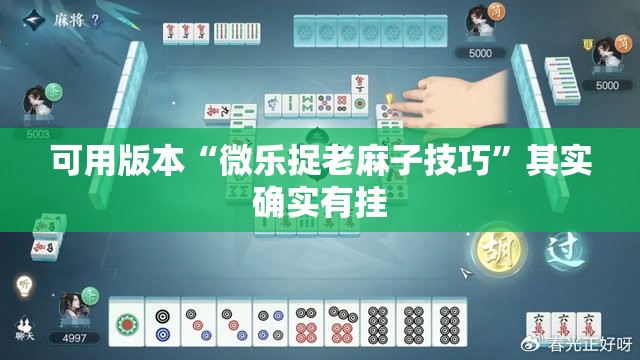 可用版本“微乐捉老麻子技巧”其实确实有挂
