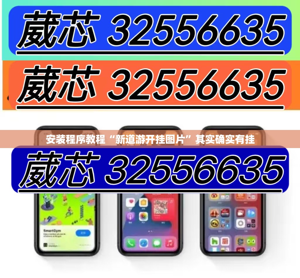 安装程序教程“新道游开挂图片	”其实确实有挂