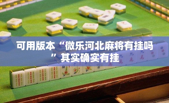 可用版本“微乐河北麻将有挂吗	”其实确实有挂