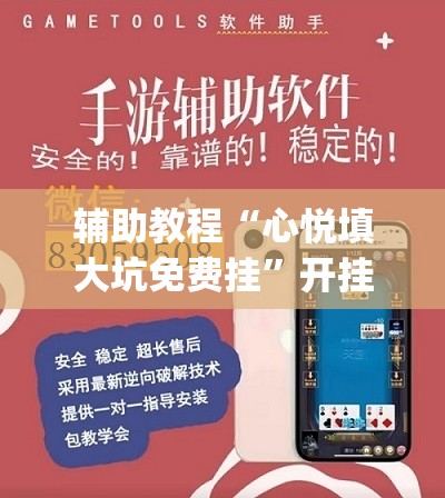辅助教程“心悦填大坑免费挂”开挂(透视)辅助神器