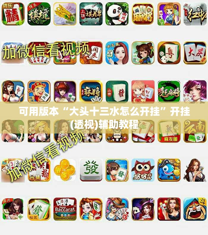 可用版本“大头十三水怎么开挂	”开挂(透视)辅助教程