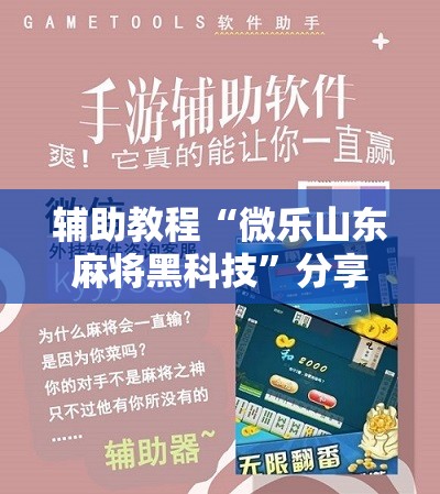 辅助教程“微乐山东麻将黑科技”分享装挂详细步骤