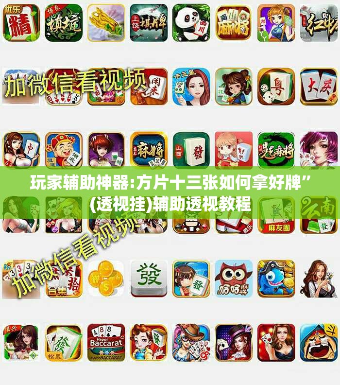 玩家辅助神器:方片十三张如何拿好牌”(透视挂)辅助透视教程