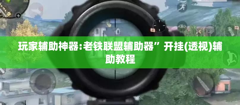 玩家辅助神器:老铁联盟辅助器”开挂(透视)辅助教程
