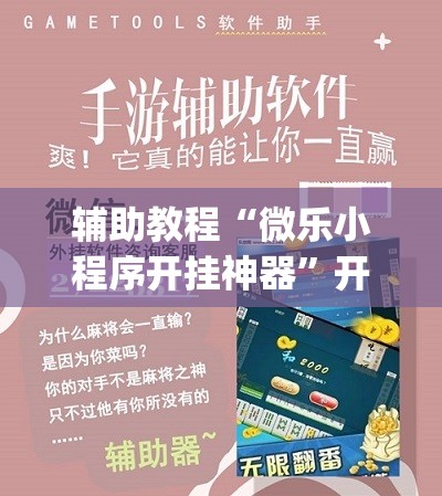辅助教程“微乐小程序开挂神器”开挂(透视)辅助神器