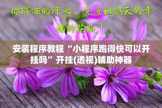 安装程序教程“小程序跑得快可以开挂吗	”开挂(透视)辅助神器