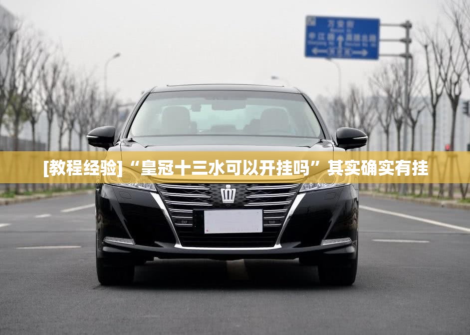 [教程经验]“皇冠十三水可以开挂吗	”其实确实有挂
