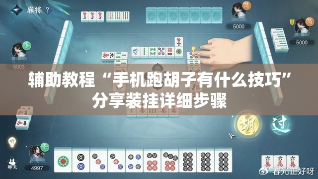 辅助教程“手机跑胡子有什么技巧”分享装挂详细步骤