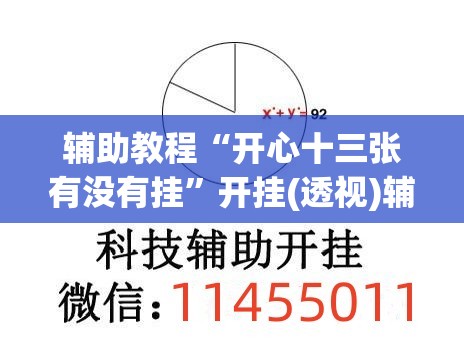 辅助教程“开心十三张有没有挂”开挂(透视)辅助神器