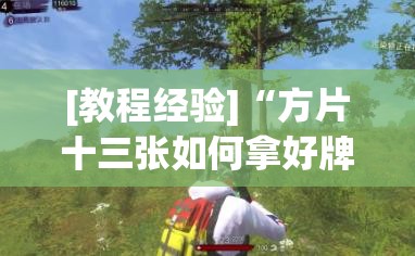 [教程经验]“方片十三张如何拿好牌”(透视挂)辅助透视教程