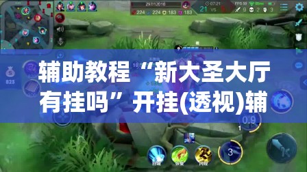 辅助教程“新大圣大厅有挂吗”开挂(透视)辅助神器