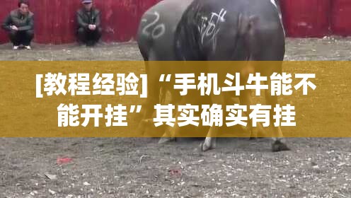 [教程经验]“手机斗牛能不能开挂	”其实确实有挂