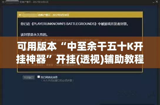 可用版本“中至余干五十K开挂神器”开挂(透视)辅助教程