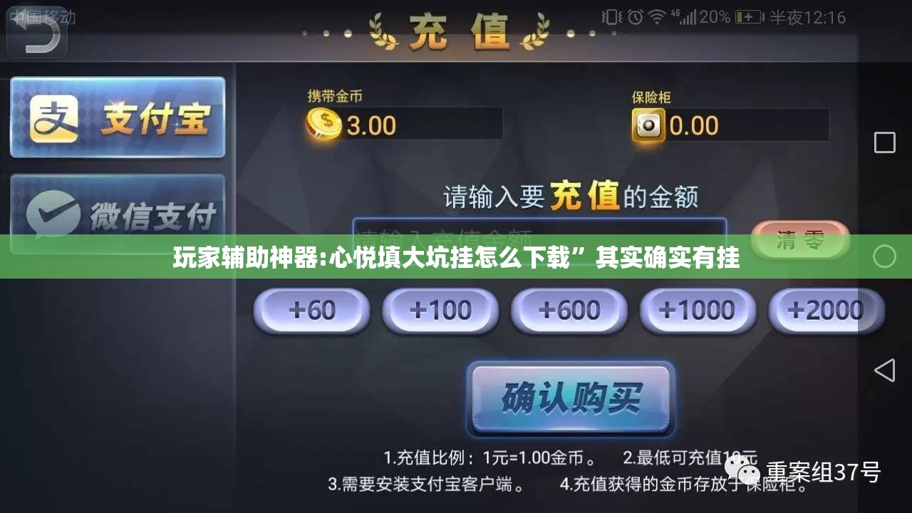 玩家辅助神器:心悦填大坑挂怎么下载”其实确实有挂