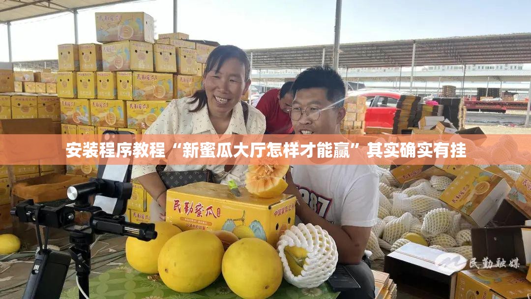安装程序教程“新蜜瓜大厅怎样才能赢”其实确实有挂