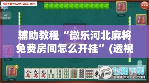 辅助教程“微乐河北麻将免费房间怎么开挂”(透视挂)辅助透视教程