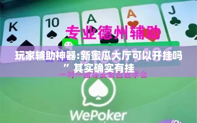 玩家辅助神器:新蜜瓜大厅可以开挂吗”其实确实有挂