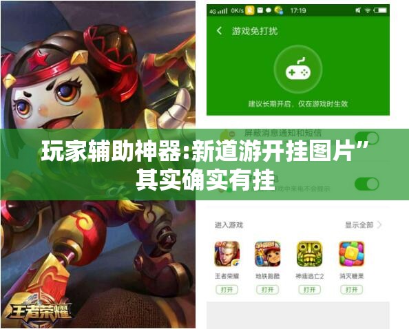 玩家辅助神器:新道游开挂图片	”其实确实有挂