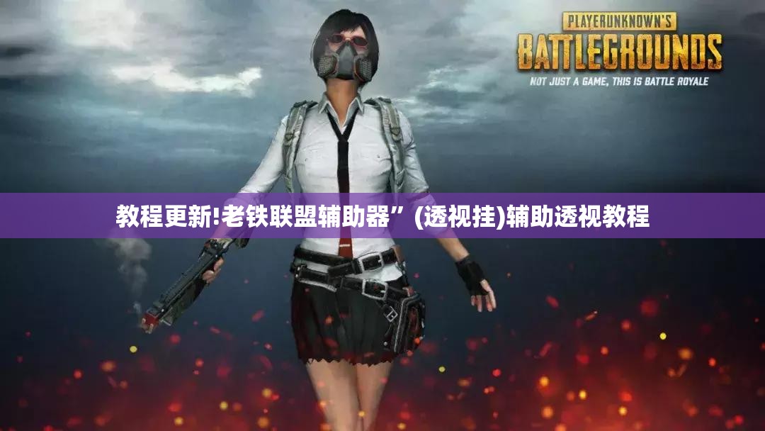教程更新!老铁联盟辅助器”(透视挂)辅助透视教程