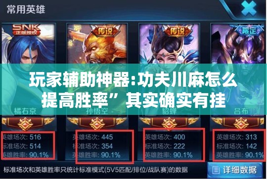 玩家辅助神器:功夫川麻怎么提高胜率”其实确实有挂