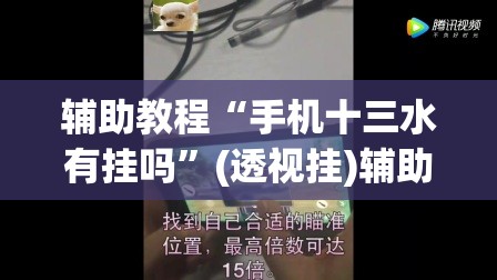辅助教程“手机十三水有挂吗”(透视挂)辅助透视教程