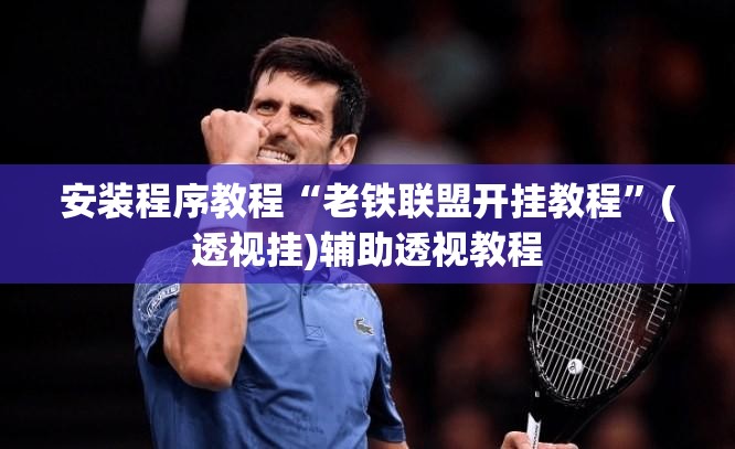 安装程序教程“老铁联盟开挂教程”(透视挂)辅助透视教程
