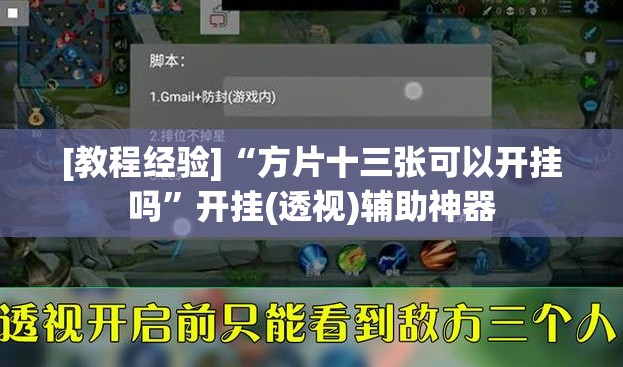 [教程经验]“方片十三张可以开挂吗	”开挂(透视)辅助神器