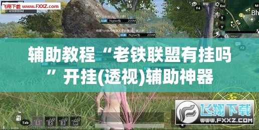 辅助教程“老铁联盟有挂吗	”开挂(透视)辅助神器