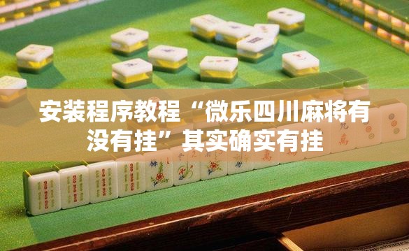 安装程序教程“微乐四川麻将有没有挂”其实确实有挂
