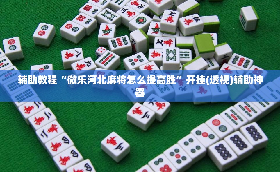 辅助教程“微乐河北麻将怎么提高胜”开挂(透视)辅助神器