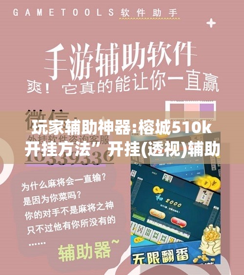玩家辅助神器:榕城510k开挂方法	”开挂(透视)辅助神器