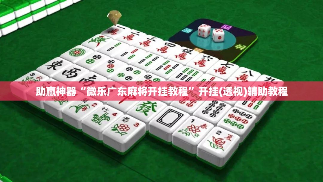 助赢神器“微乐广东麻将开挂教程”开挂(透视)辅助教程