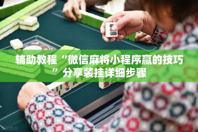 辅助教程“微信麻将小程序赢的技巧”分享装挂详细步骤