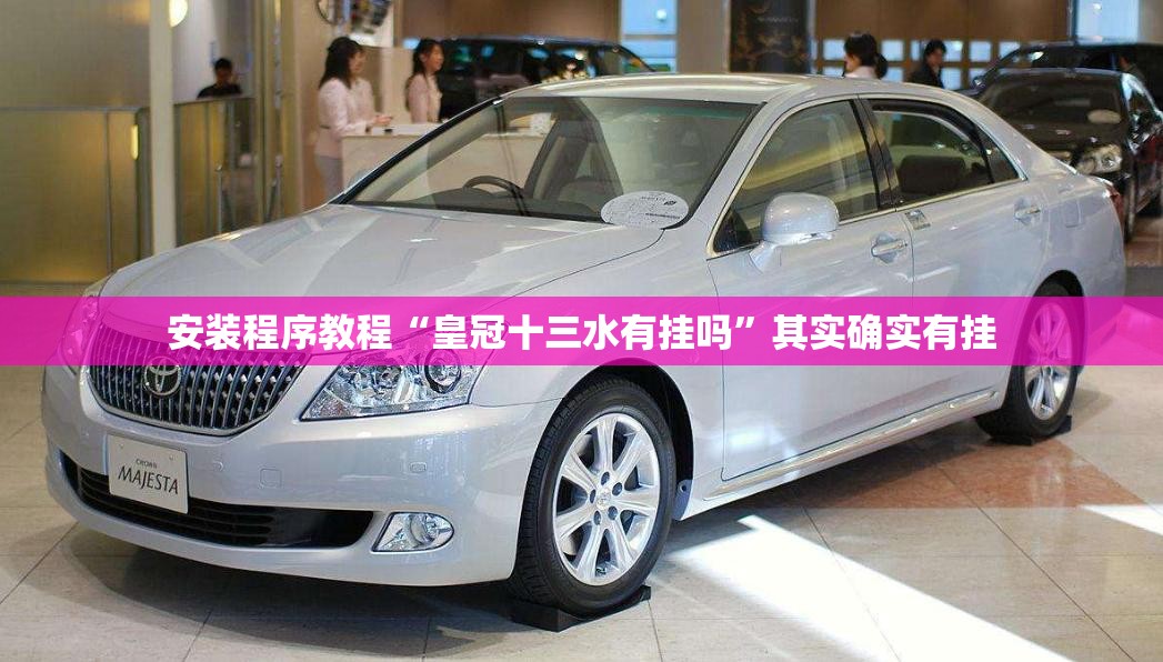 安装程序教程“皇冠十三水有挂吗”其实确实有挂