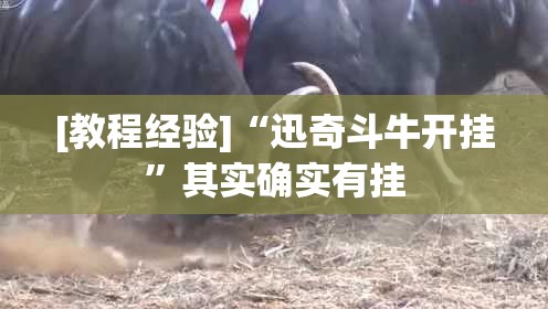 [教程经验]“迅奇斗牛开挂”其实确实有挂