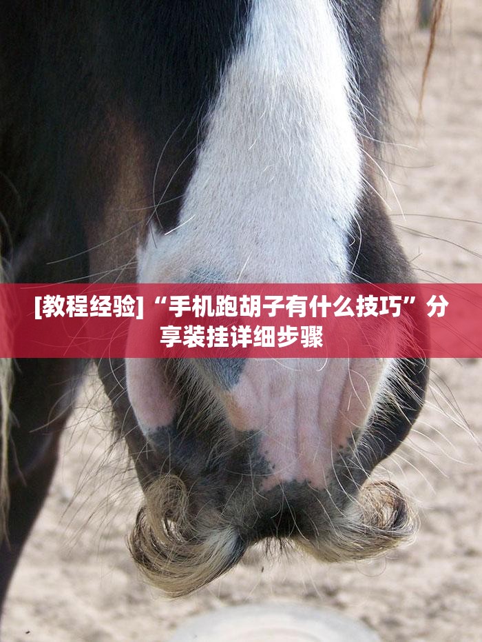 [教程经验]“手机跑胡子有什么技巧”分享装挂详细步骤