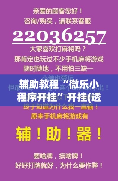 辅助教程“微乐小程序开挂	”开挂(透视)辅助教程