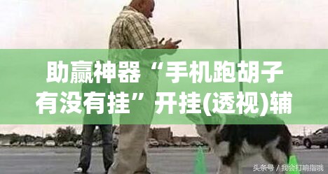 助赢神器“手机跑胡子有没有挂”开挂(透视)辅助神器