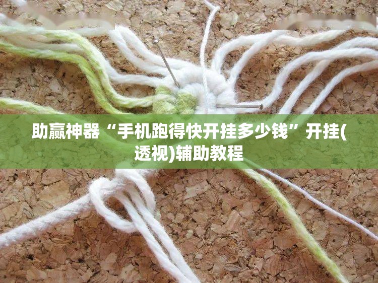 助赢神器“手机跑得快开挂多少钱”开挂(透视)辅助教程