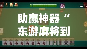 助赢神器“东游麻将到底有没有挂”开挂辅助脚本+详细开挂安装教程