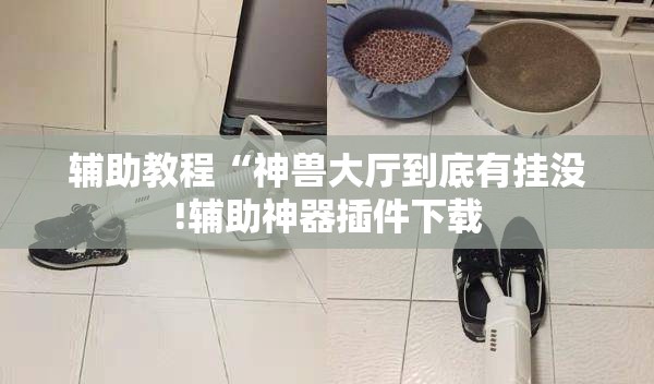 辅助教程“神兽大厅到底有挂没!辅助神器插件下载
