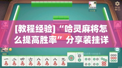 [教程经验]“哈灵麻将怎么提高胜率”分享装挂详细步骤