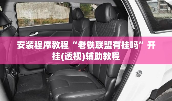安装程序教程“老铁联盟有挂吗”开挂(透视)辅助教程