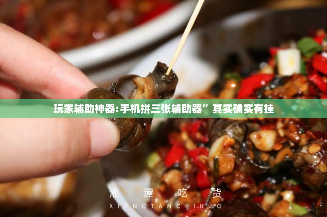 玩家辅助神器:手机拼三张辅助器	”其实确实有挂