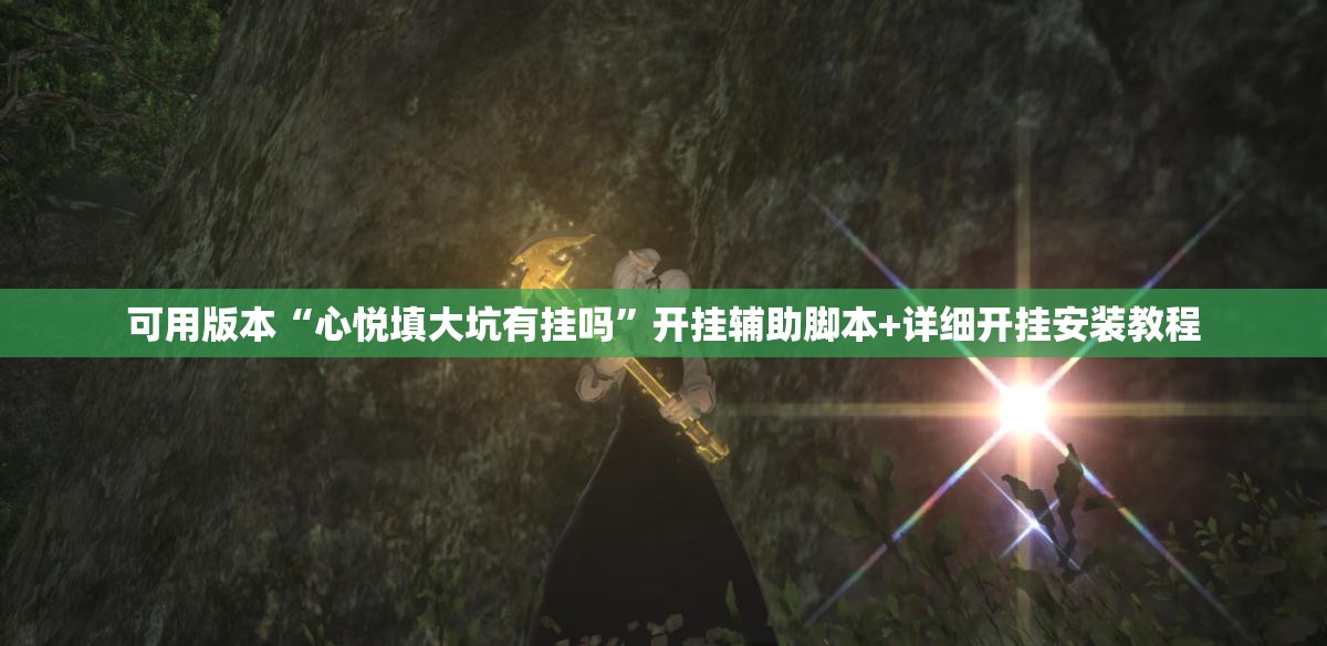 可用版本“心悦填大坑有挂吗”开挂辅助脚本+详细开挂安装教程