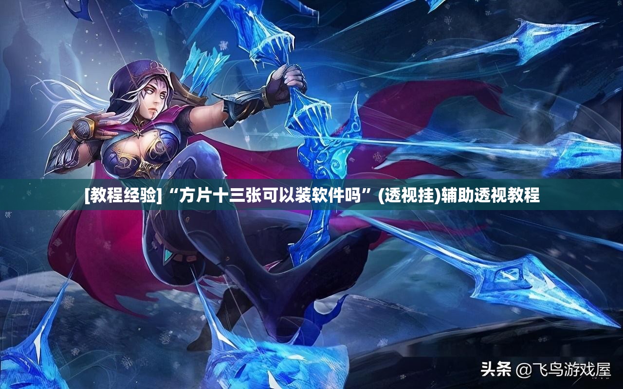 [教程经验]“方片十三张可以装软件吗	”(透视挂)辅助透视教程