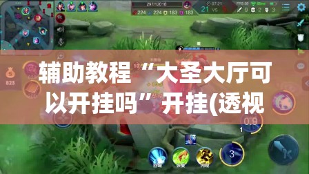 辅助教程“大圣大厅可以开挂吗	”开挂(透视)辅助教程