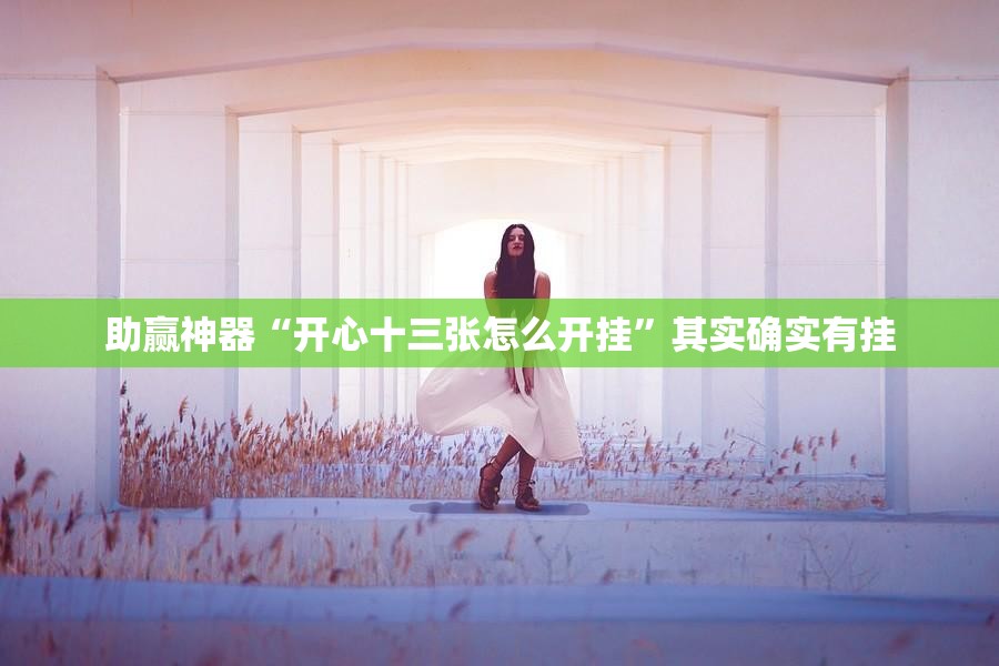助赢神器“开心十三张怎么开挂”其实确实有挂