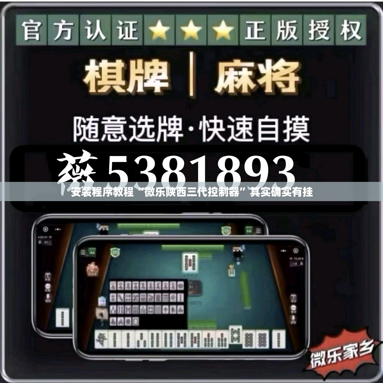 安装程序教程“微乐陕西三代控制器”其实确实有挂